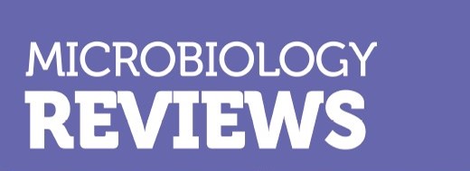 New review on Faecalibacterium published in FEMS Microbiology Reviews explores its potential for human health