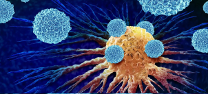 Faecalibacterium prausnitzii strain EXL01 boosts efficacy of immune checkpoint inhibitors